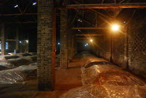 �o���{ζ�����a�S